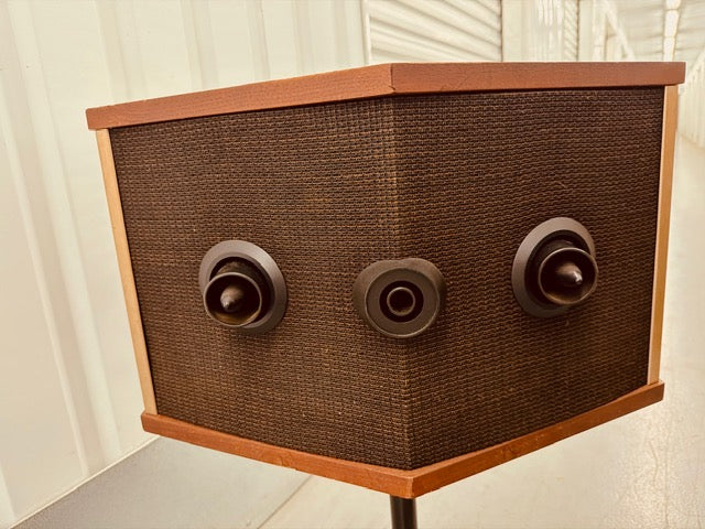 Bose 901 Series V Speakers + Equalizer + Tulips Stands (Complete System)